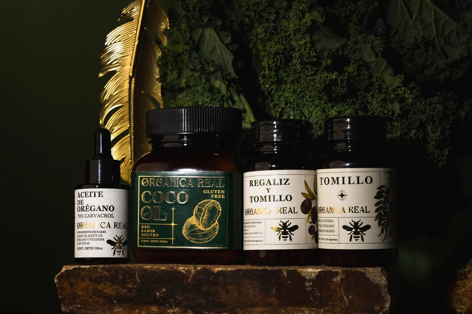 Orgánica Real - Slide 1