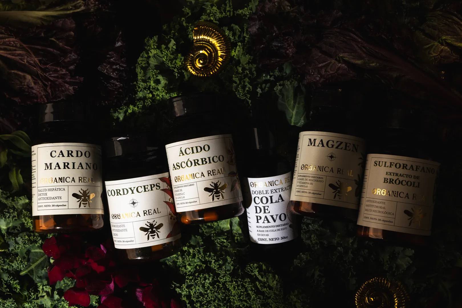 Orgánica Real - Slide 2