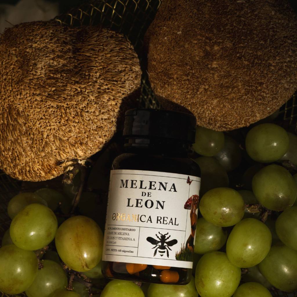 Melena de León cápsulas (60 cápsulas)