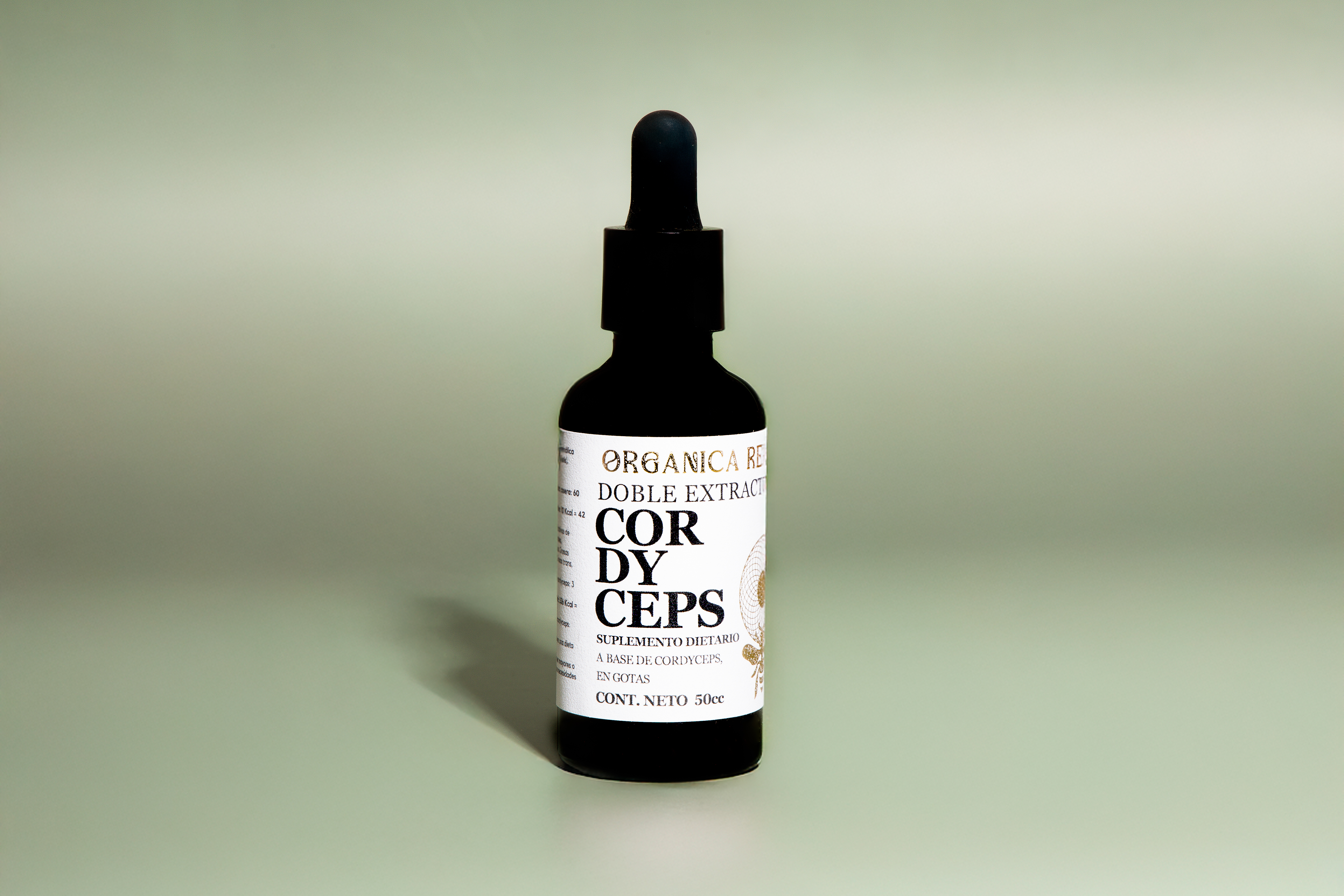 Tintura Madre de Cordyceps 50cc